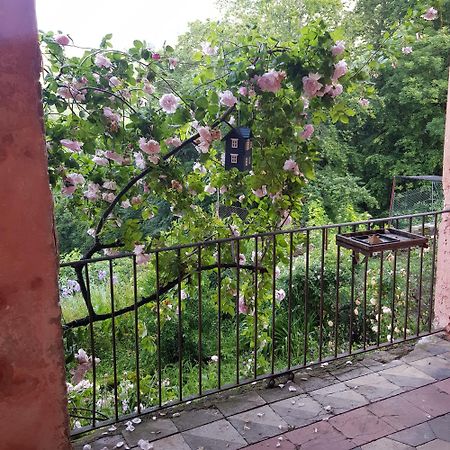Appartamento Nel Verde Mosso Santa Maria Екстериор снимка