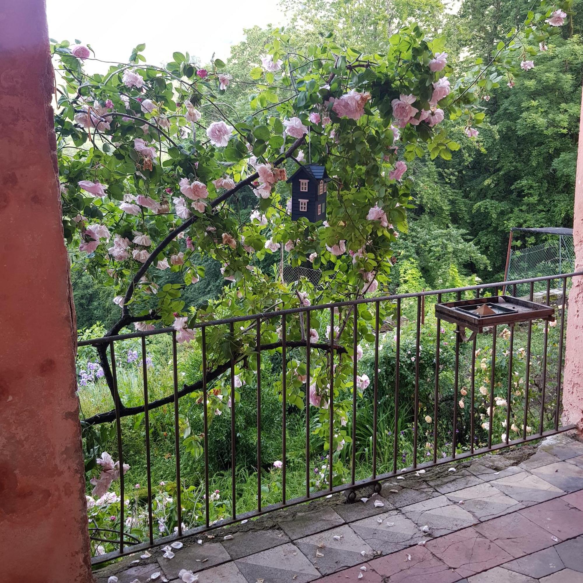 Appartamento Nel Verde Mosso Santa Maria Екстериор снимка